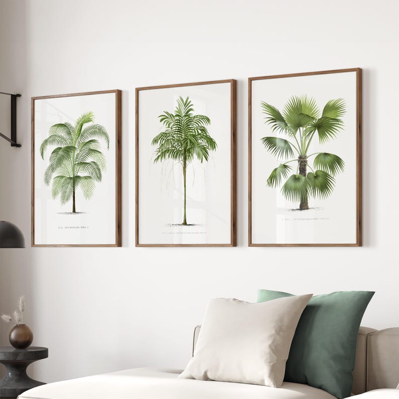 May include: Three framed botanical illustrations of palm trees with green leaves on a white background. The frames are brown wood.