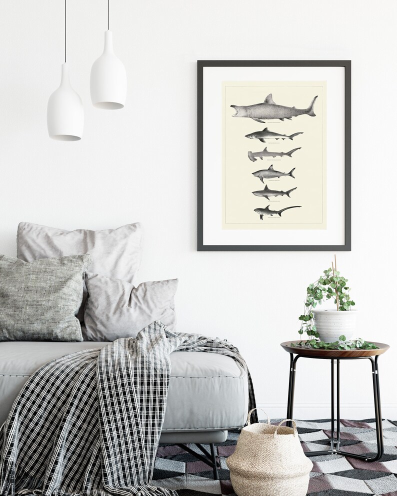 Vintage Shark Print Bathroom Wall Art Sharks Wall Art Etsy UK