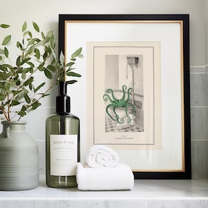 Puede incluir: Una ilustraci&oacute;n enmarcada de un pulpo en un inodoro con el texto "Pl. 331. Cachemire des toilettes". La ilustraci&oacute;n es en blanco y negro con un pulpo verde. El marco es negro con un borde dorado. Hay una botella de vidrio verde con una bomba de mano negra y una etiqueta blanca que dice "Olive & Oak" y un jarr&oacute;n de cer&aacute;mica verde con una rama de hojas verdes.