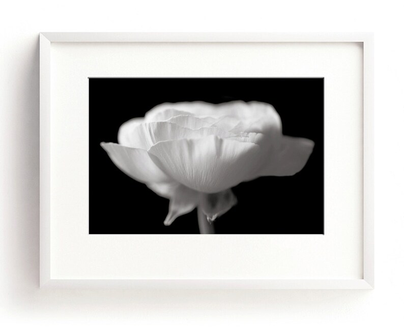 Poppy Print, Floral Wall Art, Black and White Art, Flower Photograph, Fine Art Print, Nature Print, Bedroom Wall Art, Botanical Print, Sepia image 2