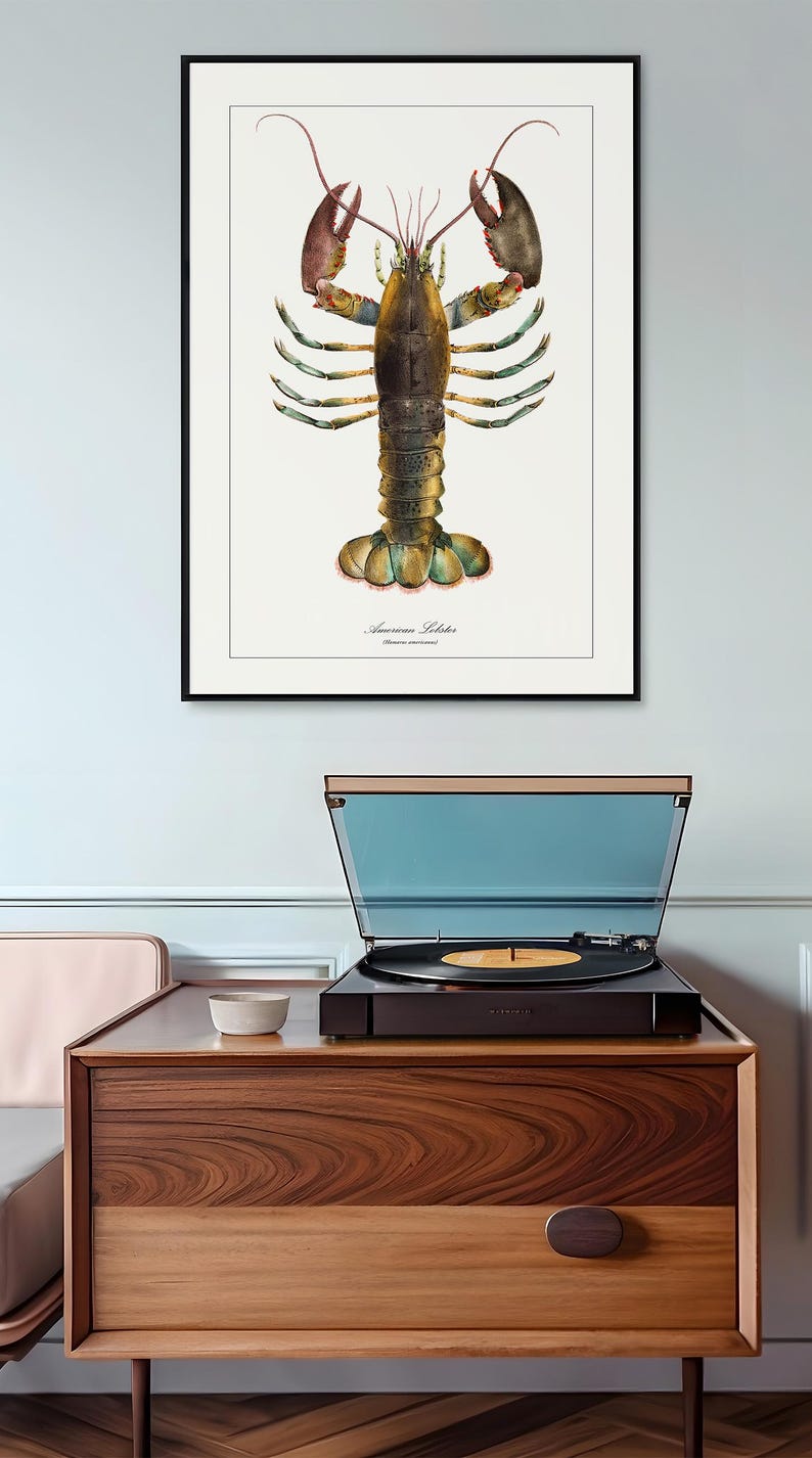 May include: A framed illustration of an American Lobster, with a detailed watercolor painting of the crustacean in shades of green, brown, and red. The text "American Lobster" is printed below the image.