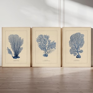 Blauwe koraalprints Zeewaaierprints Set van 3 blauwe prints badkamerdecor Badkamerafdruk Strandhuisdecor
