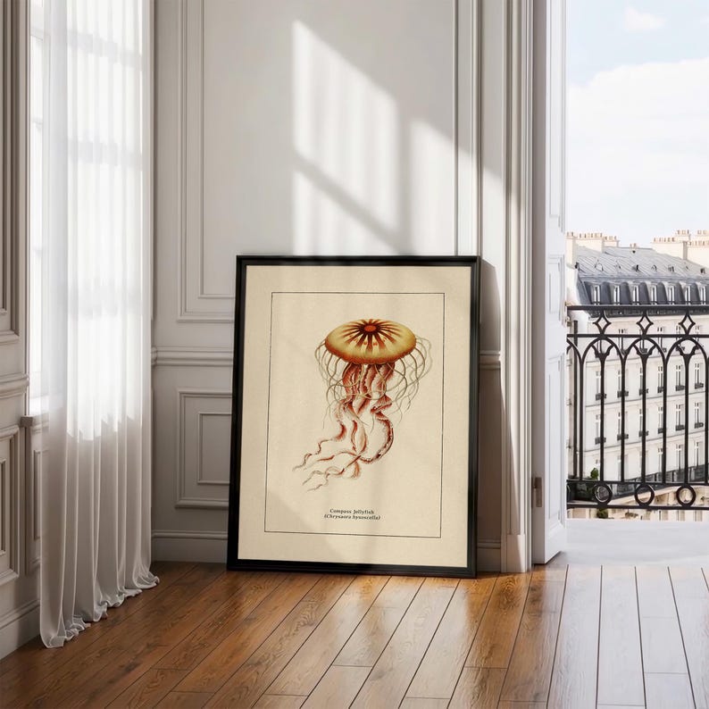 Väggkonst med havsliv för kustdekor, retro badrumstryck med havstema, vintage manetposter, naturhistorisk illustration, strandhusstämning bild 3