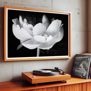 May include: A framed black and white photograph of a flower with large, delicate petals. The artwork hangs above a wooden record player and a stack of vinyl records. The room has a modern, minimalist aesthetic.