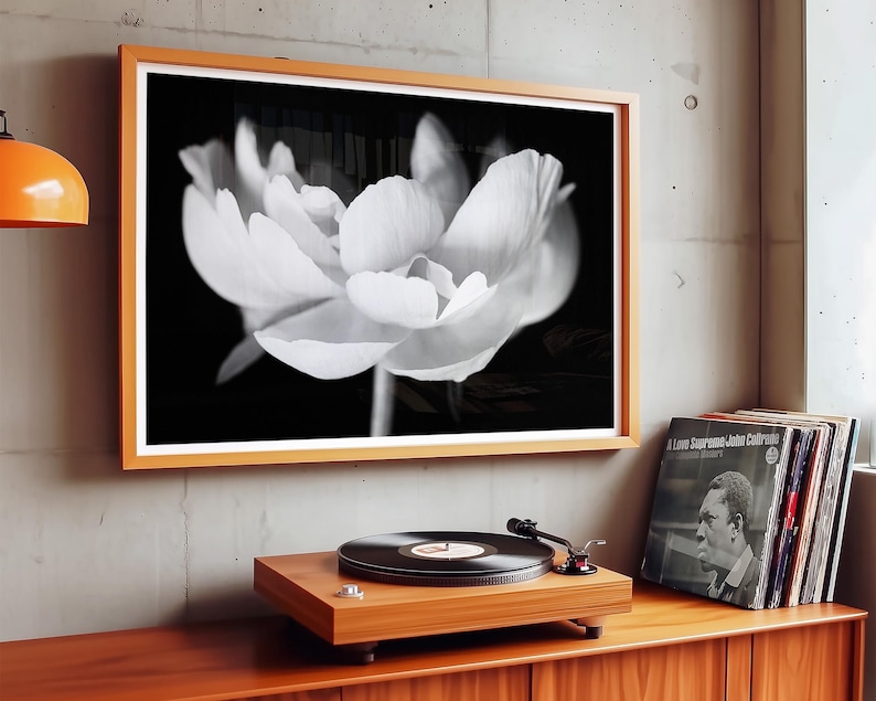 May include: A framed black and white photograph of a flower with large, delicate petals. The artwork hangs above a wooden record player and a stack of vinyl records. The room has a modern, minimalist aesthetic.