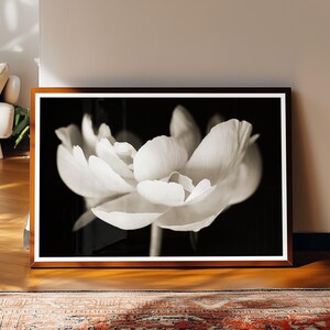 May include: A framed black and white photograph of a white flower with large, delicate petals. The flower is centered against a dark background, creating a striking contrast. The frame is a warm brown color, and the photograph is displayed on a wooden floor.