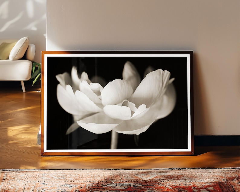 May include: A framed black and white photograph of a white flower with large, delicate petals. The flower is centered against a dark background, creating a striking contrast. The frame is a warm brown color, and the photograph is displayed on a wooden floor.