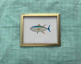 Yellowfin Tuna Print