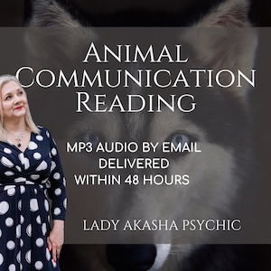 Animal Communication Reading, 3 Questions Answered, Communicate with pets  Unlock the Secrets of Animal Communication,  Connect with pets