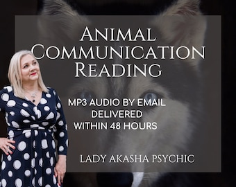Animal Communication Reading, 3 Questions Answered, Communicate with pets  Unlock the Secrets of Animal Communication,  Connect with pets