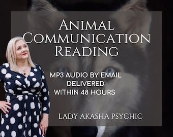 3-Question Animal Communication Reading: Connect With Your Pets