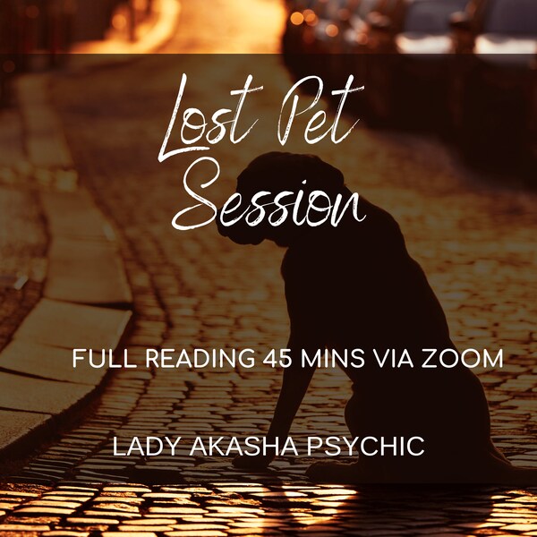 Lost Pet Etsy