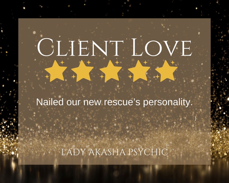 Op de afbeelding: Een afbeelding met de woorden "CLIENT LOVE" en vijf gouden sterren. Onder de sterren staat de tekst "Nailed our new rescue's personality." De afbeelding bevat ook de tekst "LADY AKASHA PSYCHIC" op een gouden en bruine achtergrond met glitter.