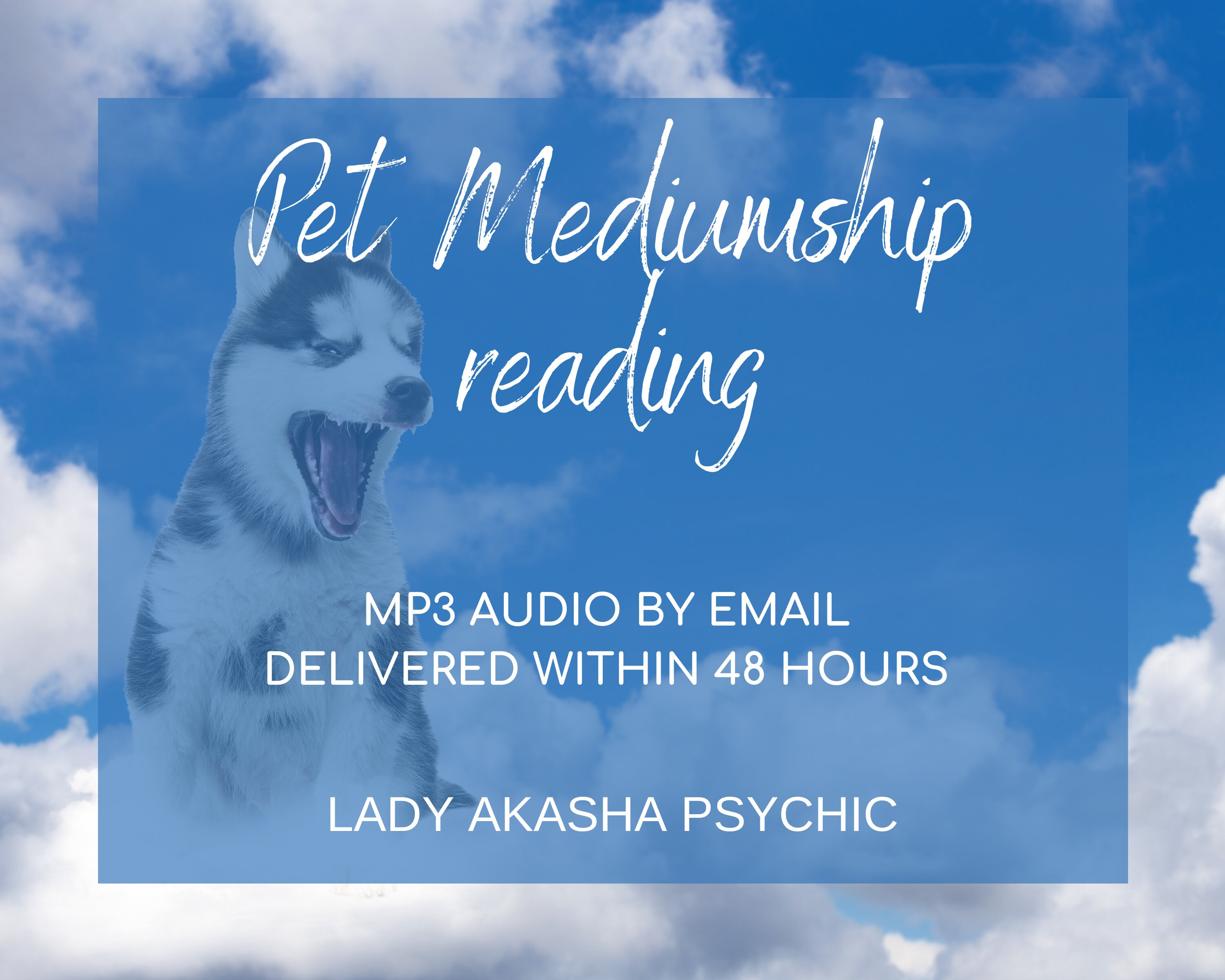 Top TV Psychic Pet Mediumship 3 or 5 question reading MP3 Audio, Fast…
