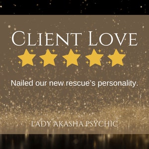 Puede incluir: Gr&aacute;fico con las palabras "CLIENT LOVE" sobre cinco estrellas doradas. Debajo de las estrellas, el texto dice "Nailed our new rescue's personality". El gr&aacute;fico tambi&eacute;n incluye el texto "LADY AKASHA PSYCHIC" en la parte inferior.