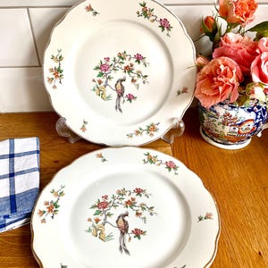Antique French Digoin and sarreguemines bird of paradise dinner plates.