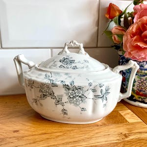 Vintage Celia große Wedgewood Zuckerdose mit Deckel.