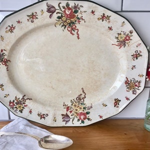 Gorgeous vintage Royal Doulton old leeds spray platter.