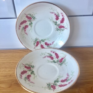 Royal Swan vintage saucers. Set of two