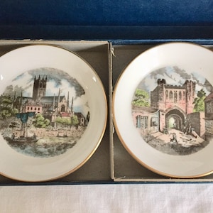 Vintage royal worcester collectible plates.