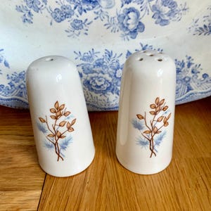 Vintage kitsch Welsh salt and pepper shakers.
