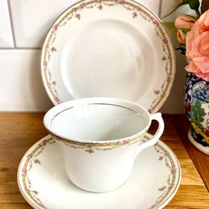 Stunning vintage Fine bone china tea cup trio. Liverpool pottery Co. Burslem