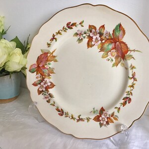 Vintage Royal Doulton &#39;Wilton&#39; mid century dinner plate.