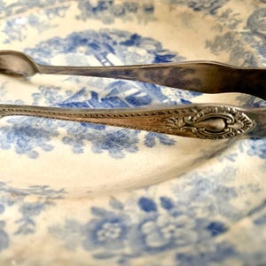 May include: A silver sugar tong with decorative detailing rests on a vintage blue and white floral patterned plate. The tongs have a curved design with spoon-like ends. The plate's design features a pastoral scene and floral motifs.