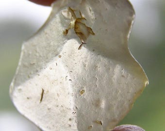 VIDRIO DEL DESIERTO LIBIO - Tectita - 1,8 x 1,4 cm 1,43 g Impacto de meteorito n.º 3