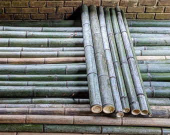 12" See WARNING! 1" 2" 3" 4" 5" Green Giant Large Moso Bamboo Poles Pieces 12" Lengths (1 Foot) 100% Grown Made in USA Green ECO Sustainable
