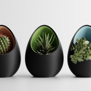 Puede incluir: Tres macetas modernas en forma de huevo en fila, cada una con una suculenta diferente. Las macetas son negras con interiores de colores: marrón, verde y azul. Las plantas incluyen un cactus, aloe y una suculenta frondosa.