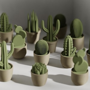 Könnte beinhalten: Eine Sammlung grüner Kakteen in kleinen, hellbraunen Töpfen. Die Kakteen variieren in der Form, einschließlich hoher, stacheliger und runder Formen. Das Bild ist gut beleuchtet und hebt die Details der Pflanzen und Töpfe hervor, wodurch ein dekoratives Thema entsteht.