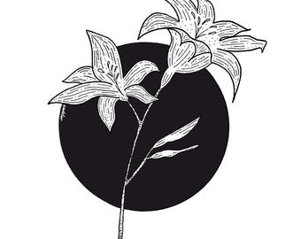 Tiger Lilies Sticker
