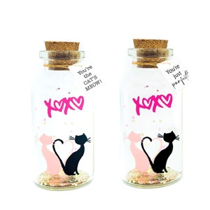Fiole Message Chat d'Amour, Cadeau personnalisé pour couple amoureux des chats, Cadeau unique Saint Valentin, Petite bouteille à mots doux