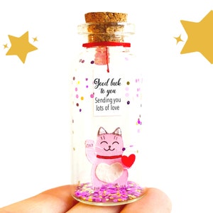 Fiole Message, Chat porte bonheur, Cadeau personnalisé Femme, Couple, Amis, Bonne chance, Amour Humour, Petite bouteille en verre,