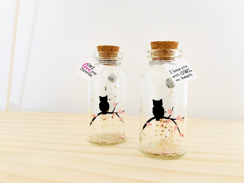 Owl Message In a Bottle, Long Distance Relationship Gifts, Anniversary gifts, Gift for Boyfriends, Gift for Girlfriends, Love cards image 1