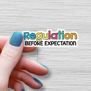May include: A sticker with the text "Regulation Before Expectation" in colorful letters. The sticker is white with a black outline.