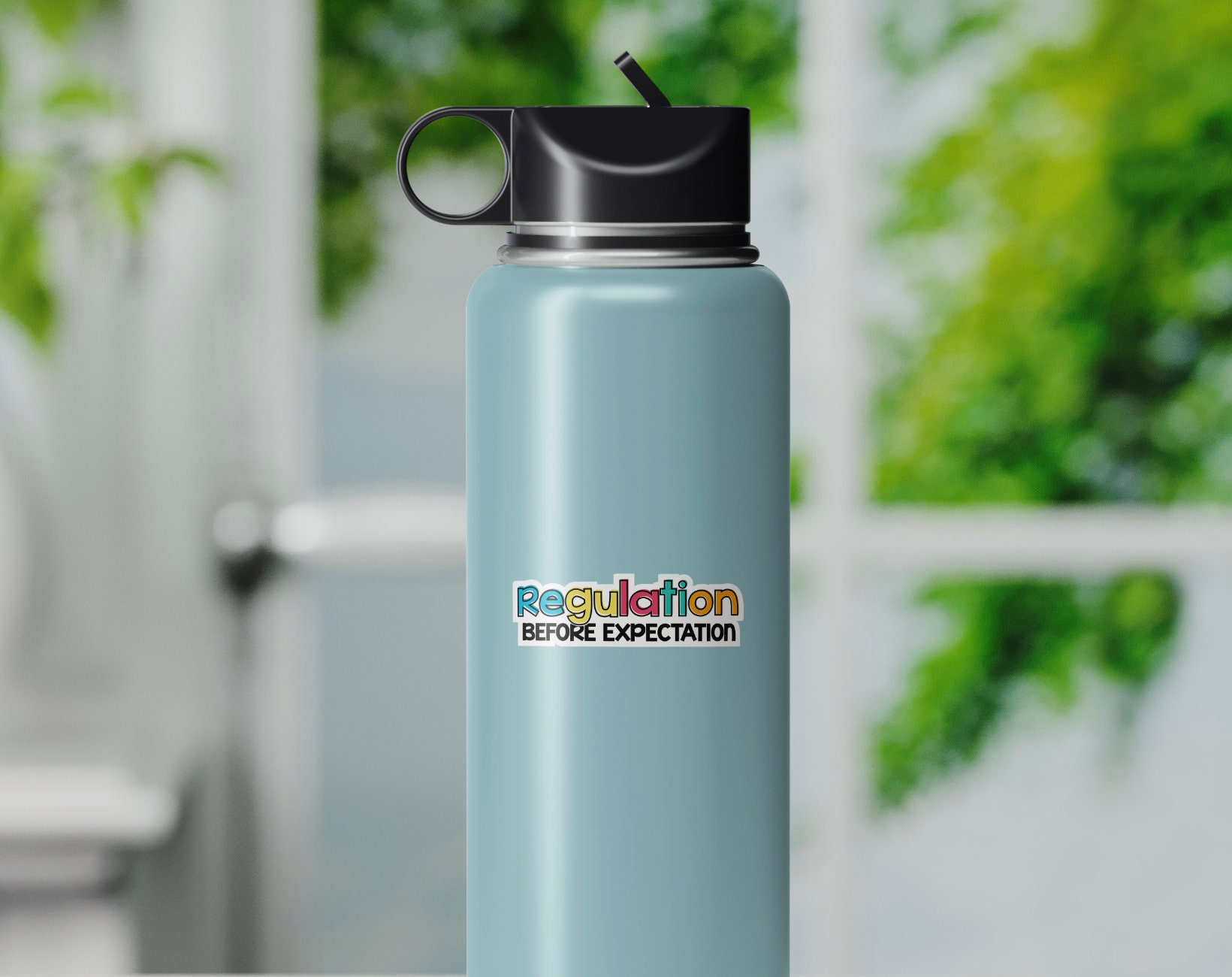 Regulation Before Expectation Sticker - Autism Disability Special Needs ...