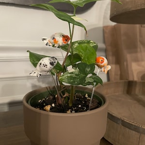 Handmade Plant Accessory/ Decor - Ranchu goldfish Plant Buddy