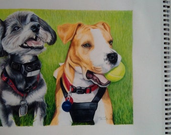 Custom Made Pet Drawings