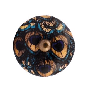 May include: A round, blue, brown, and gold knob with a peacock feather design.