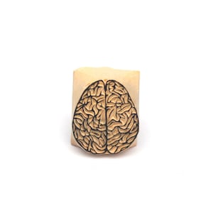 Puede incluir: Un sello de madera con una ilustración detallada de un cerebro humano. El diseño del cerebro está tallado en marrón oscuro, sobre un bloque de madera de color marrón claro. Ideal para manualidades, proyectos educativos o para añadir un toque único a la papelería.