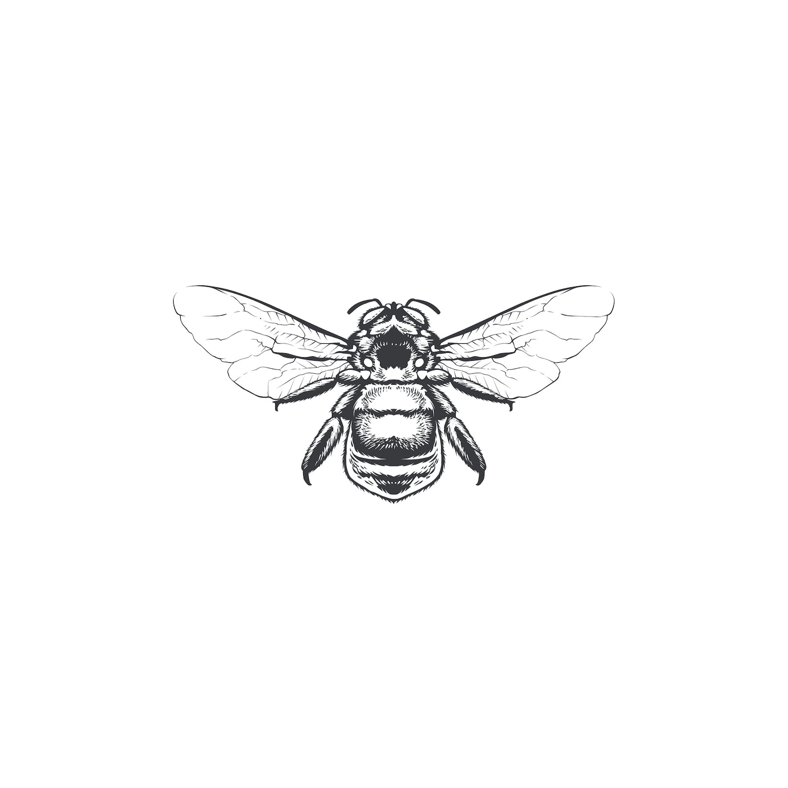 Bumble Bee Rubber Stamp Bumblebee Stamp Honeybee Bumble