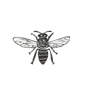 May include: A black and white line drawing of a bee with wings spread out.