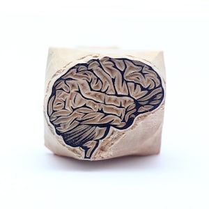Timbre de cerveau, timbre de cerveau humain, sculpté à la main, bloc d’impression, timbre d’argile, timbre de poterie, timbre de carte postale