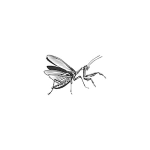 Sello de mantis, sello de insectos, sello de madera, sello de goma, tallado a mano, sello de cerámica, sello textil, bloque de impresión, sellos de tela