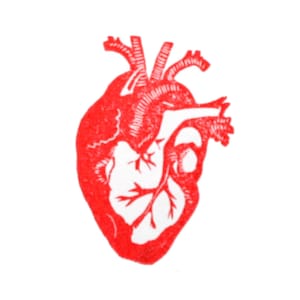Timbro a forma di cuore, timbro con l'anatomia del cuore, timbro in legno, intagliato a mano, timbro in gomma, xilografia, per Filofax, cartoline, planner, scheduler, calendari