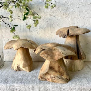 Hand Carved Teak Root Garden Mushroom Art Sculpture 12”