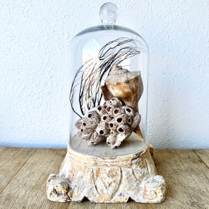 Glass Display Cloche Dome 12” Straight Sides (for 8” riser)
