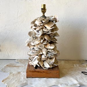 May include: A table lamp base constructed from a vertical stack of natural oyster shells in shades of beige, cream, and grey. The shell structure is mounted on a square, unfinished wooden block base and topped with a brass-colored metal lamp socket.